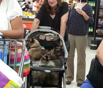 (c) Peopleofwalmart.com